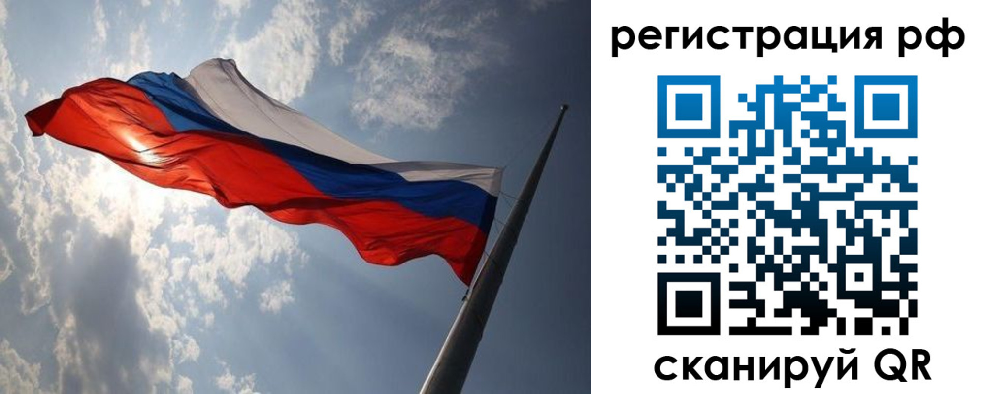 прописка поиск в Ленинградской области
